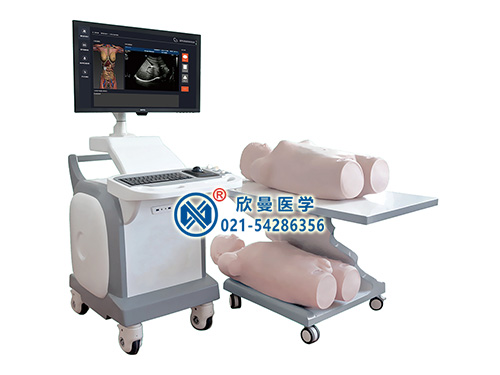 XM-CS9000超声诊断虚拟教学系统
