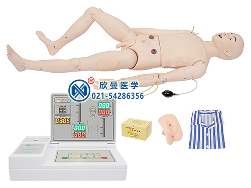 XM-HL6高级成人护理及CPR模拟人模型