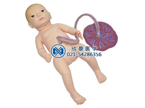 新生儿脐带插管模型,新生儿脐带护理模型
