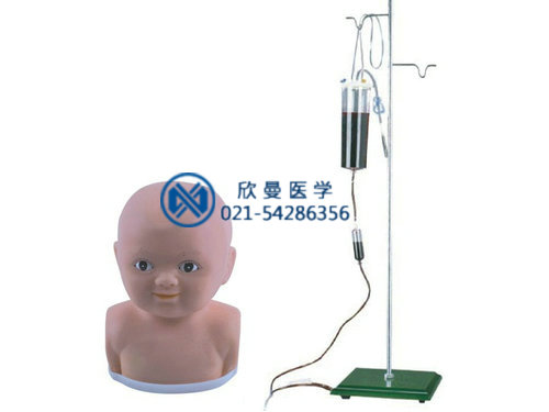 婴儿头部综合静脉穿刺模型