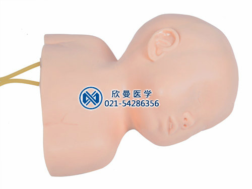 婴儿头皮静脉注射模型