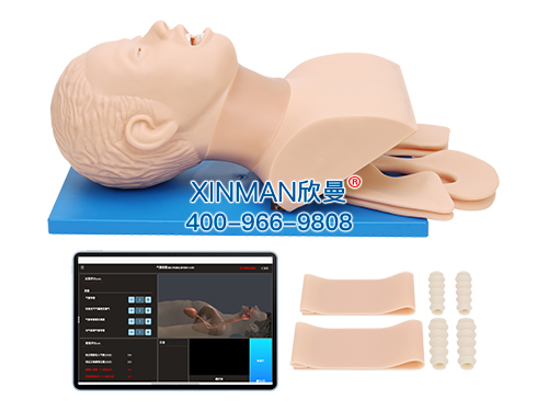 移动交互式气管插管训练模型,高级气道管理模拟人