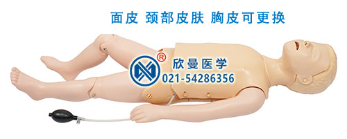 儿童心肺复苏模型