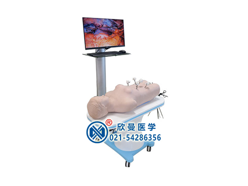 网络版群体化腹腔镜虚拟教学训练系统