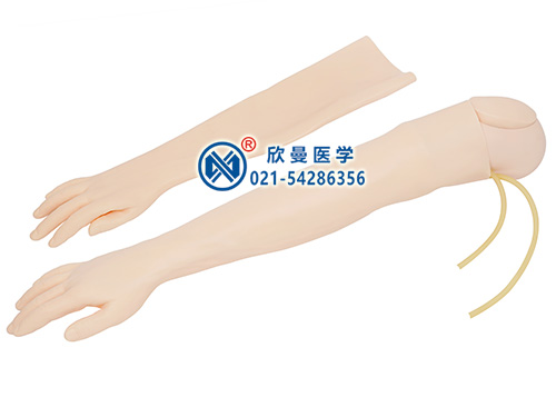 XM-S2A手臂静脉穿刺及肌肉注射训练模型,静脉输液手臂模型