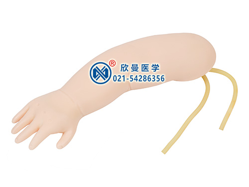 XM-S8A婴儿静脉穿刺手臂模型,小儿静脉输液手臂模型