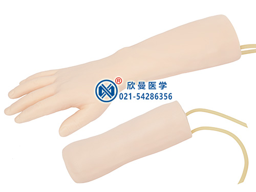 手部、肘部组合式静脉输液（血）训练模型