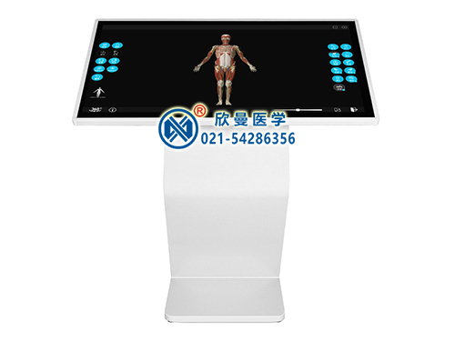 XM-JP42人体3D解剖教学系统平台
