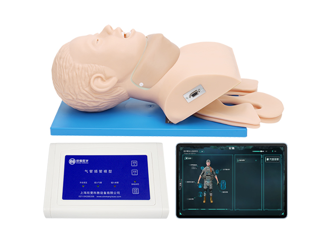 XM-5500高级气道管理模拟人,气管插管操作训练模型