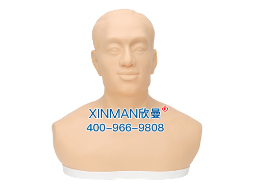 XM-ZCNA针刺针灸头部训练模型,头部针灸扎针模型