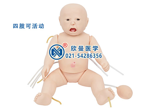 新生儿综合急救训练模拟人