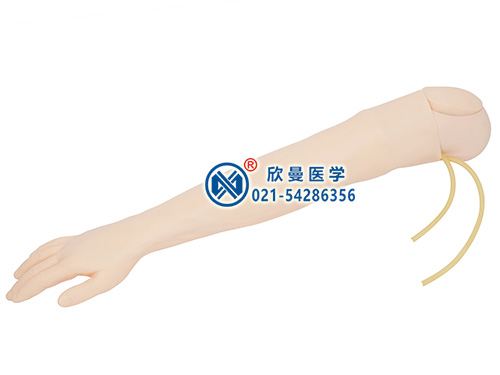 高级静脉穿刺手臂及肌肉注射模型
