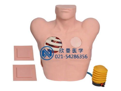 胸腔穿刺模拟人，胸腔穿刺模型人采用电子控制，可自动注入液体。
