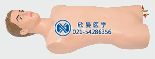 全功能静脉穿刺模拟人整体结构