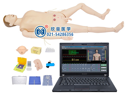 高级心肺复苏AED除颤血量测量模拟人