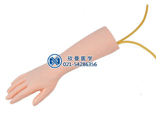 标准静脉输液手部模型