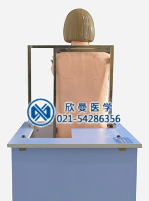 综合穿刺模拟人整体结构示意图