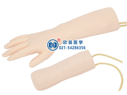 XM-S11手部、肘部组合式静脉输液（血）训练手臂模型