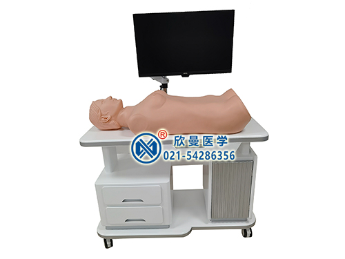 网络版智能胸腹部检查教学训练系统