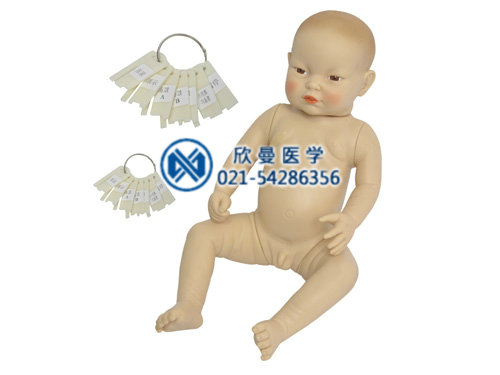 高级型智能婴儿互动照料模拟人（高智能婴儿模拟人）