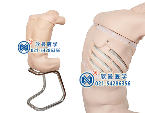 胸腔穿刺模拟人