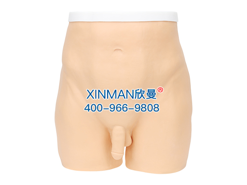 XM-ZCTA针灸臀部训练模型,臀部针灸针刺扎针练习模型