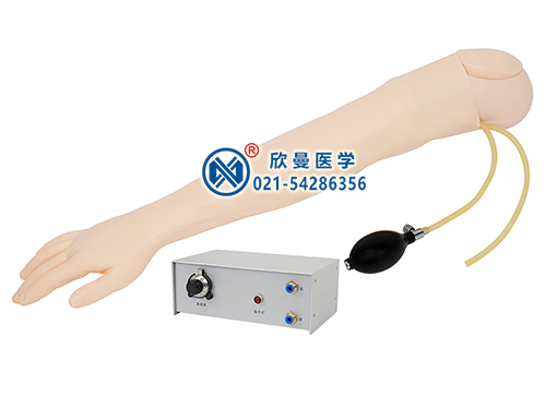 XM-S4-1高级全功能动脉与静脉穿刺手臂模型