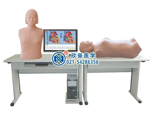 网络版智能化心肺检查和腹部检查教学系统