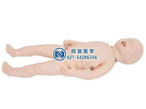 新生儿生长发育指标测量及护理模型