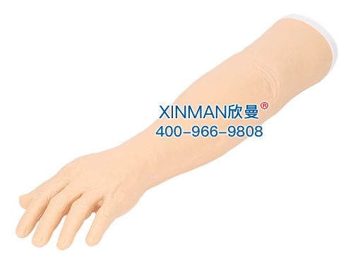 XM-ZCSA针刺训练手臂模型,针灸手臂训练模型