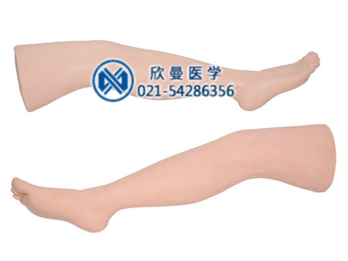 外科缝合腿模型,下肢缝合模型