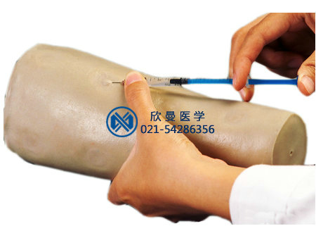 皮内注射手臂模型