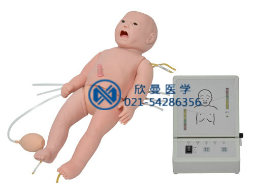 婴儿急救模拟人（急救、护理二合一）