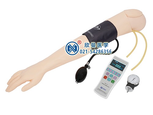 血压测量手臂模型整体结构