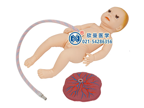 新生儿脐带护理模型整体结构