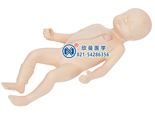新生儿外周中心静脉插管操作模型