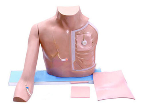 静脉介入操作模型(带手臂)