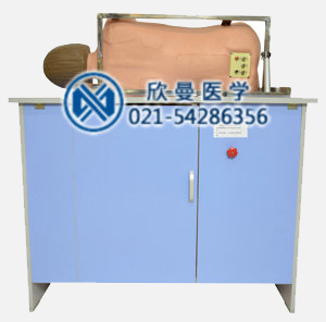 综合穿刺模型侧卧位