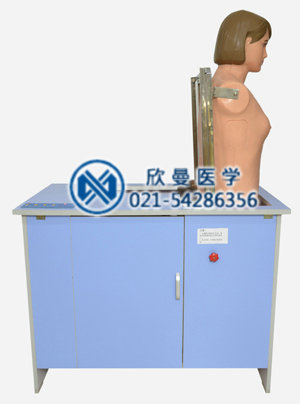 综合穿刺模型立位展示