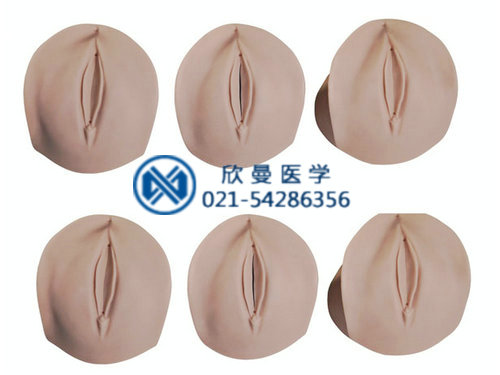 产前宫颈变化与产道关系模型