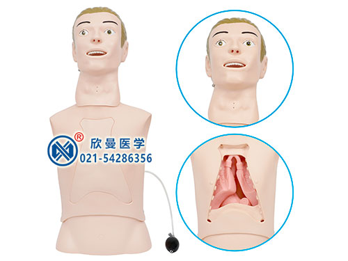 XM-BQ高级鼻胃管与气管护理模型,鼻饲模型
