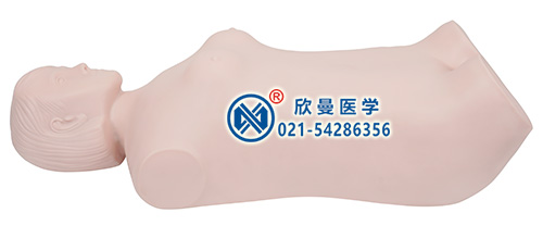 数字遥控式电脑腹部触诊听诊模拟人整体结构