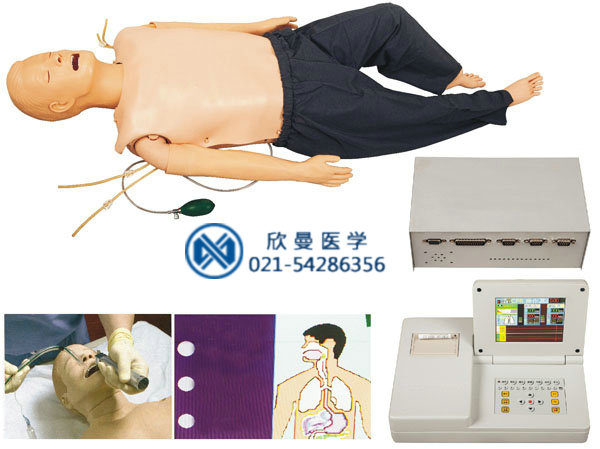 心肺复苏气管插管模拟人模型