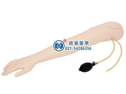 XM-S4高级动脉穿刺手臂模型,动脉注射手臂模型