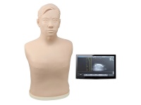 超声引导下胸腔穿刺技能训练模拟人体模型