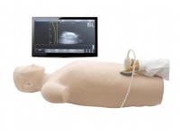 超声引导下腹腔穿刺技能训练模拟人体模型