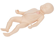 新生儿外周中心静脉插管模型