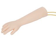 高级儿童静脉穿刺训练手臂模型（儿童静脉输液手臂模型）