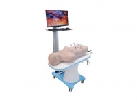 网络版群体化腹腔镜虚拟教学训练系统（学生机）